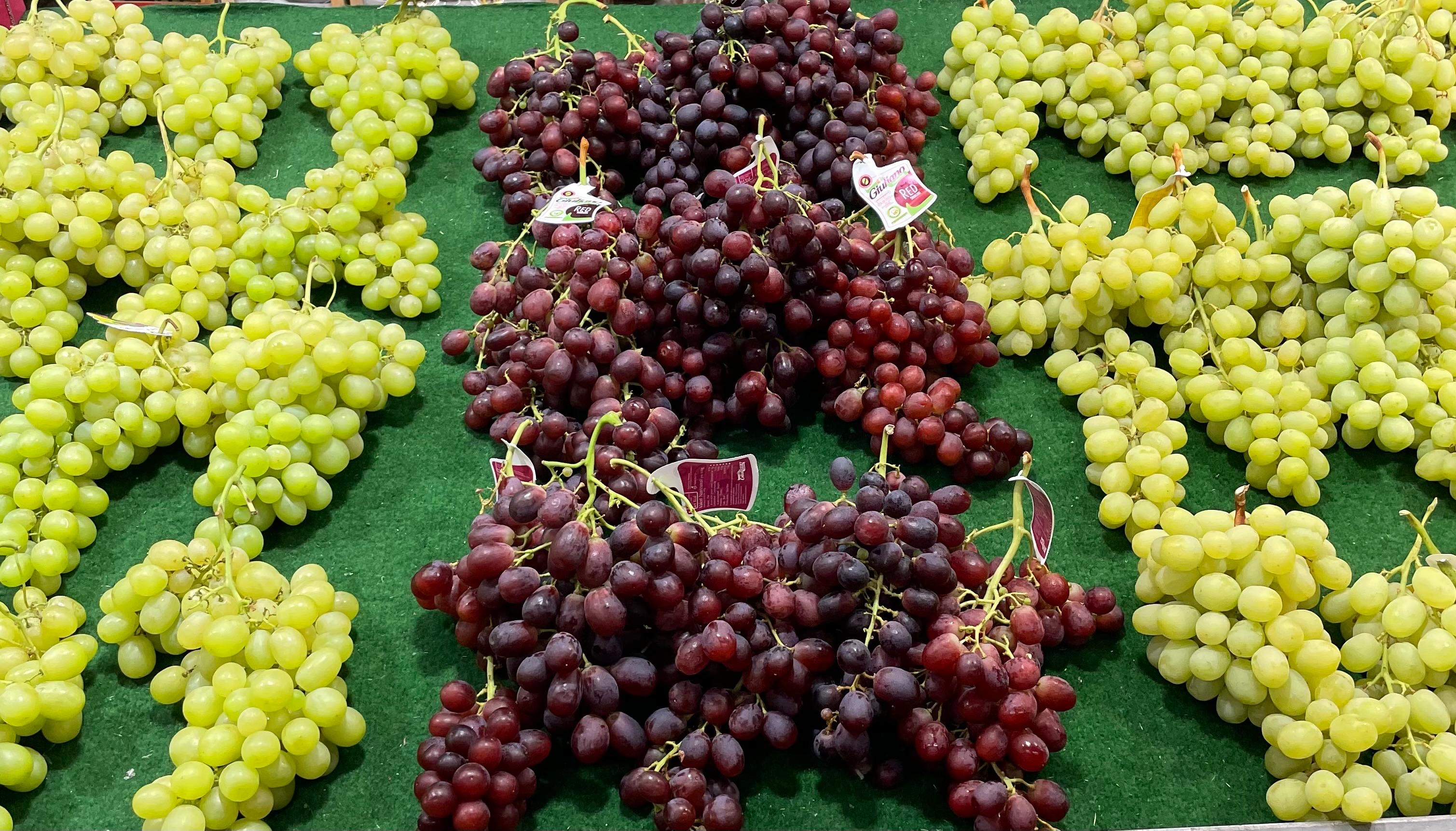 Sarisoy Obstkorb Galerie