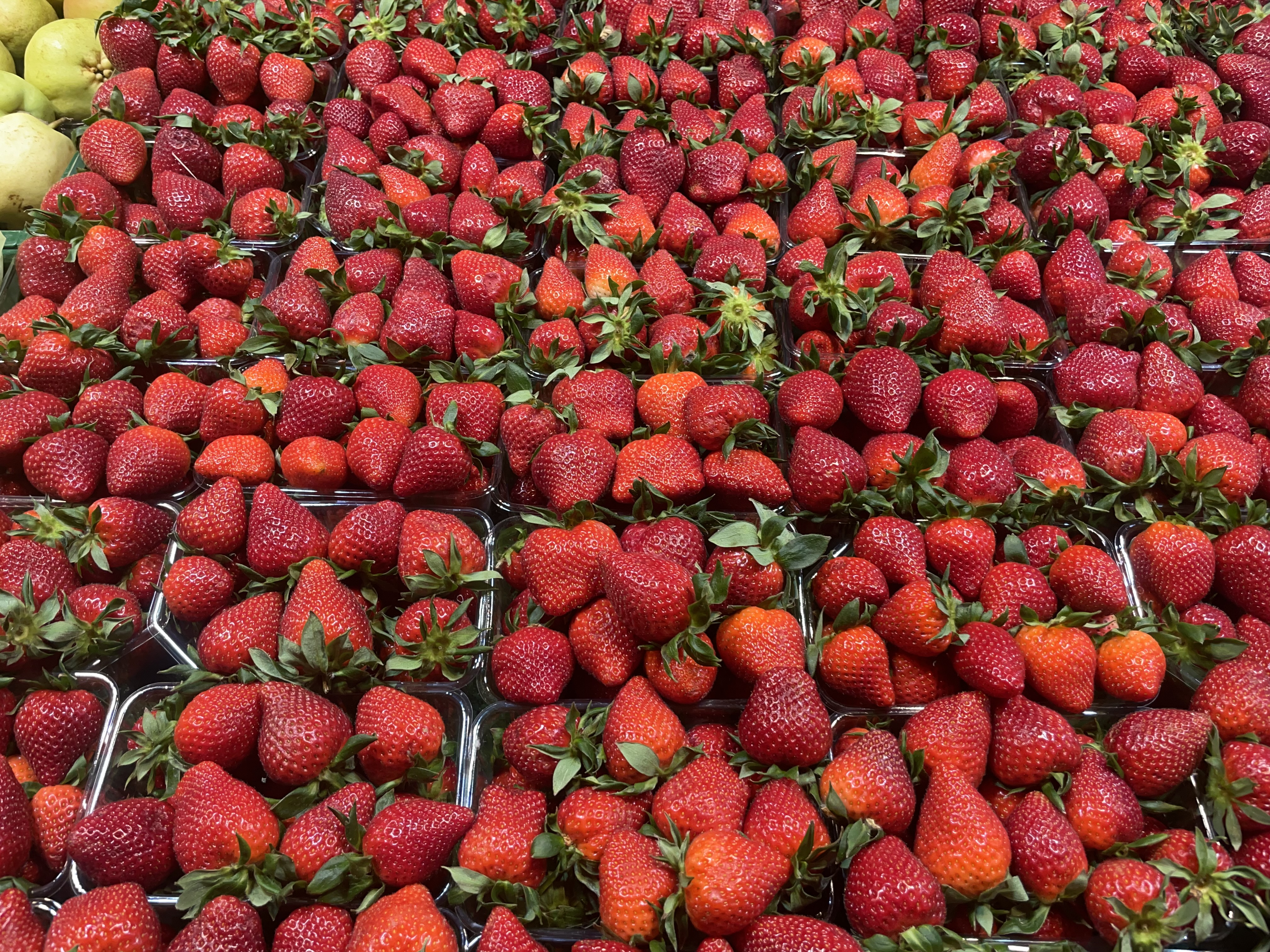 Sarisoy Obstkorb Galerie
